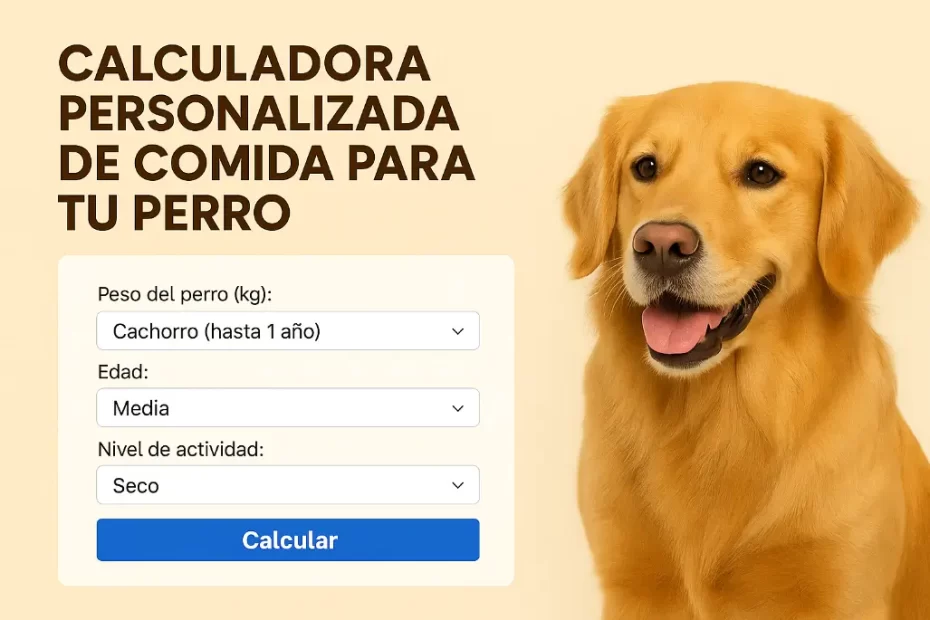 Calculadora personalizada de comida y horarios para tu perro